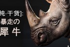 [CG纯·干货]：随时暴走の白犀牛