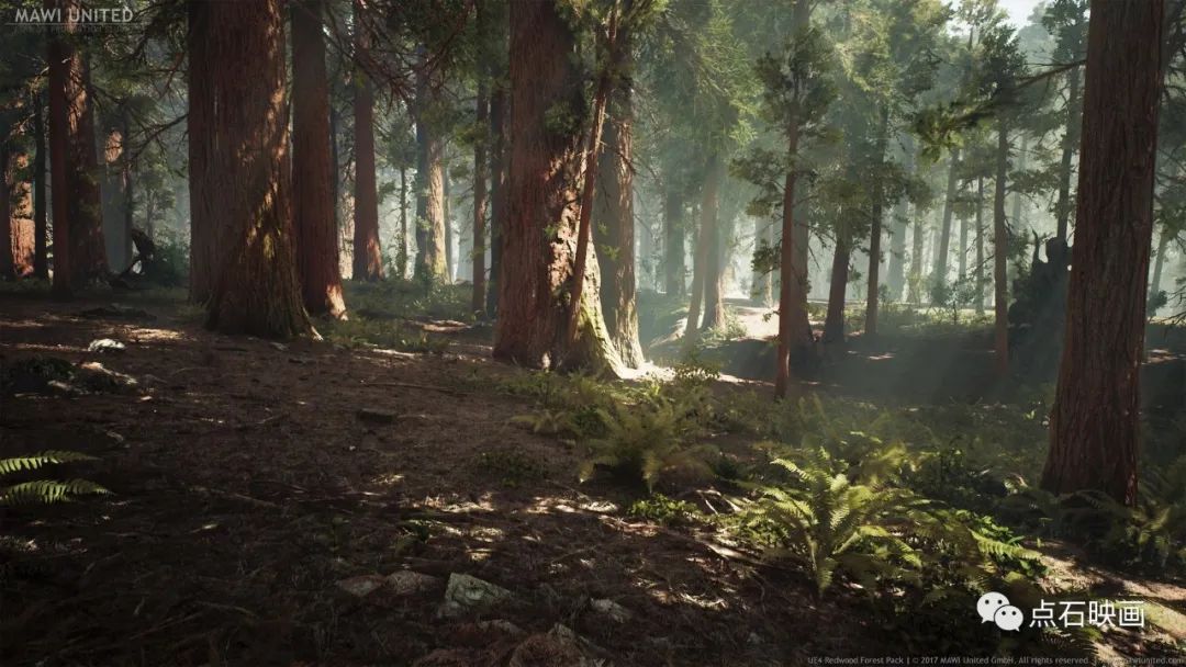 [CG分享·UE4]| 红杉森林 |点石映画